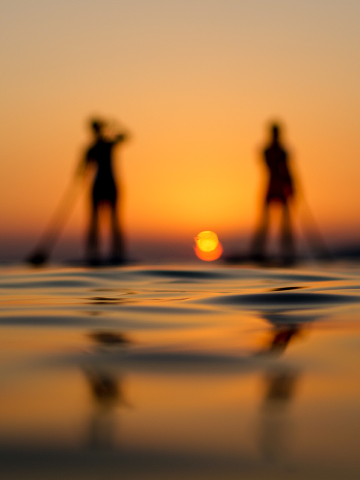 paddle boarders
