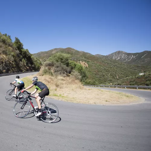 Road cycling