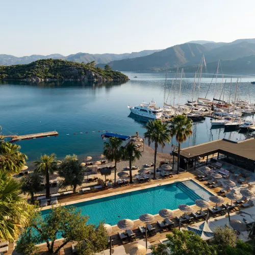 Neilson x Cook's Club Adakoy