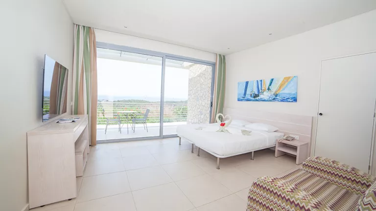 One of the premium rooms