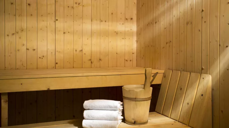 The sauna