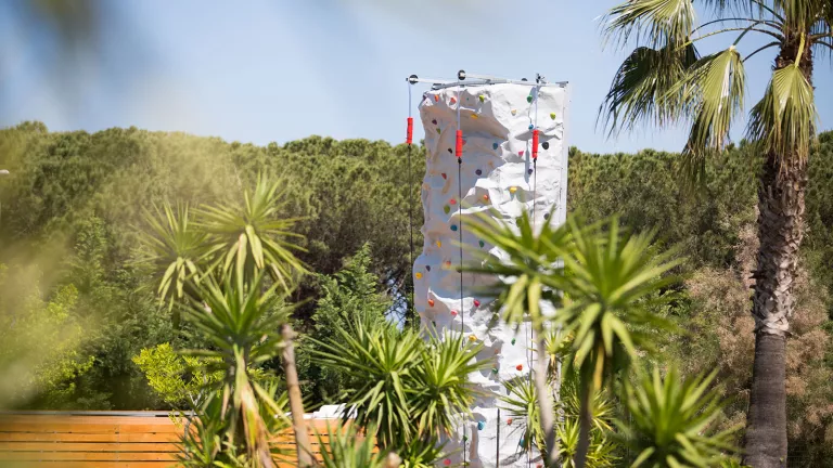 climbing wall