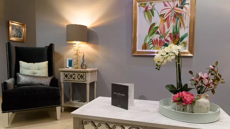 treatment rooms reception area
