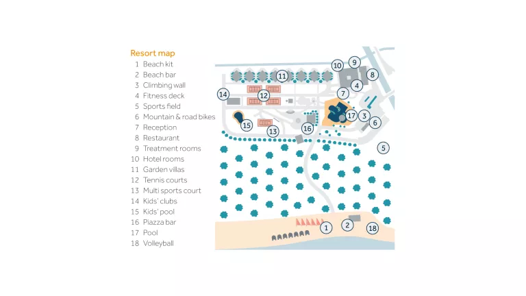 A guide to the beachclub