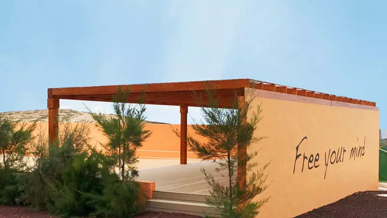 The yoga shala