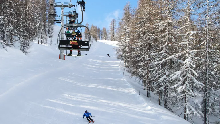 Tree lined slope
