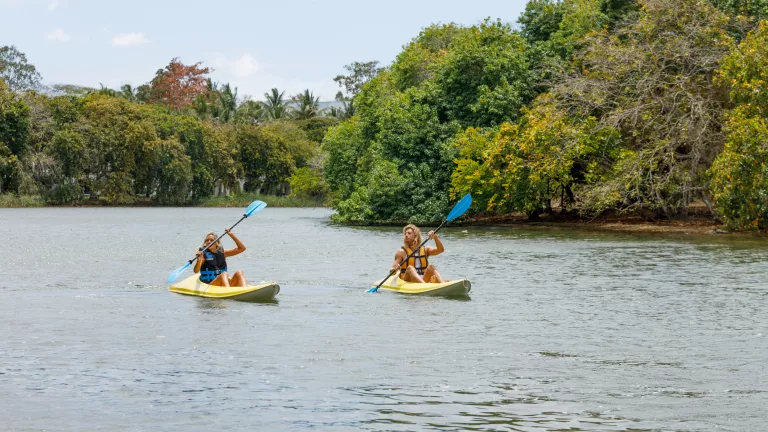 Kayaking along Lime River at Neilson x The Ravenala Attitude