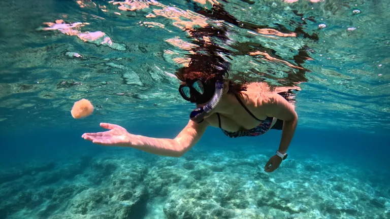 Reef snorkelling at Neilson x The Ravenala Attitude