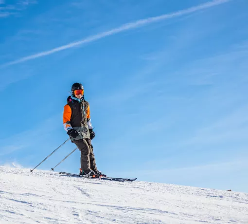 neilson mountain experts