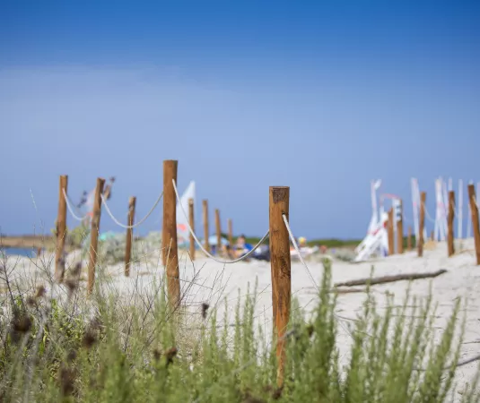 BDM beach