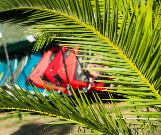 windsurf