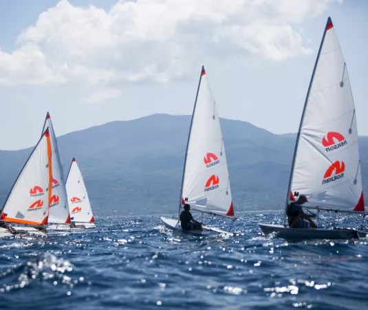 A picture of 5 Neilson-branded dinghy's sailing on a calm sea 
