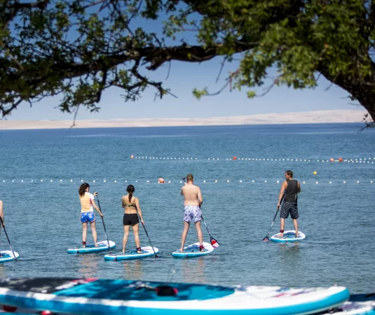 five people paddleboarding on a calm, blue body of water under a clear sky. They are all standing on individual paddleboards, spaced out in a line, facing away from the camera. 
