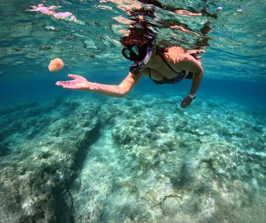 A woman snorkeling near our Mauritius hotel
