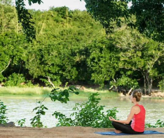 Yoga The Ravenala Attitude