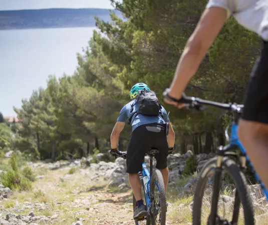  two cyclists riding mountain bikes on a rocky trail surrounded by lush green trees.