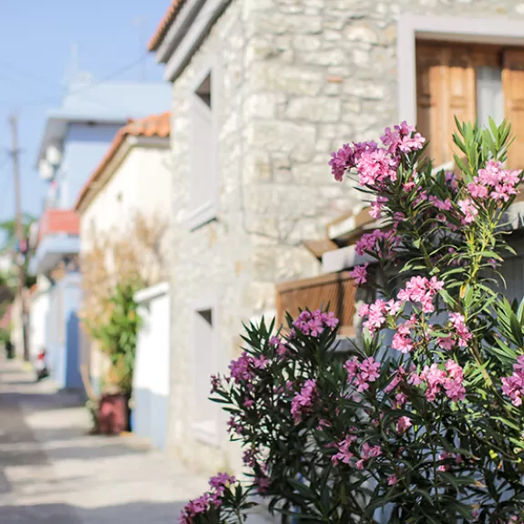  Skala Eressos