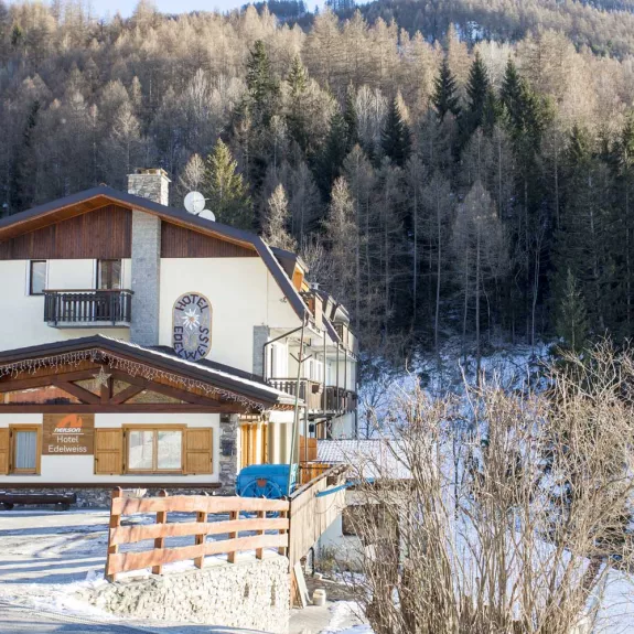 Chalet Hotel Edelweiss