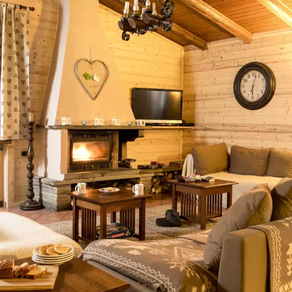 Cosy lounge with fireplace