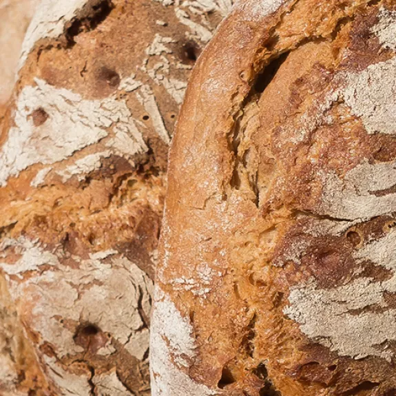 Loaves of bread