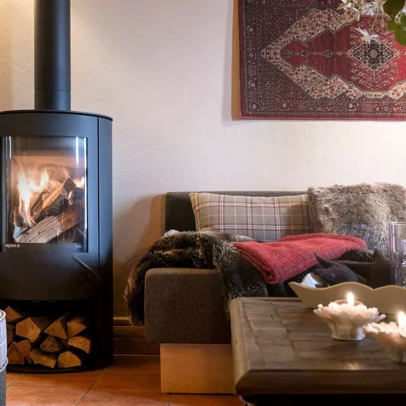 The warming woodburner
