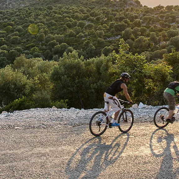 group of people cycling at sunset