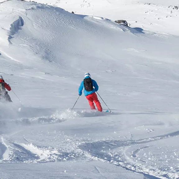 Group of people skiing in powder