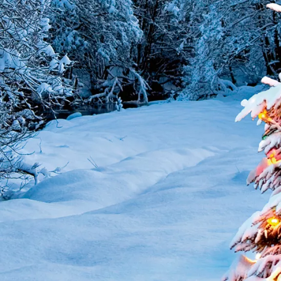 Christmas tree on a ski slope