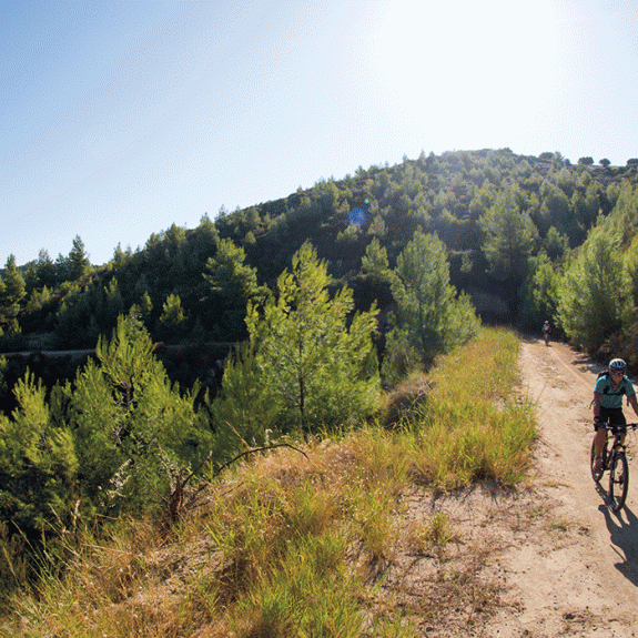 Two people cycling in Greek countryside