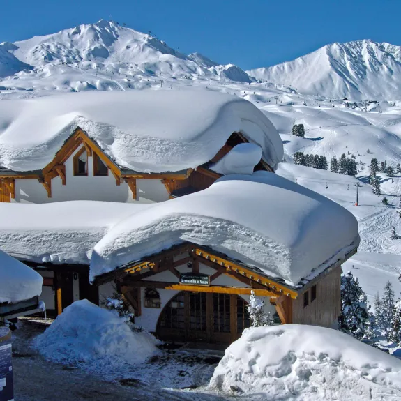 Neilson Mountain Collection