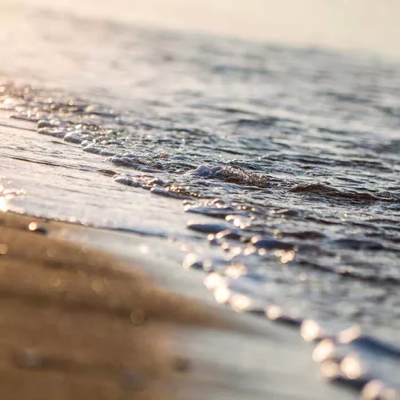 beach and shoreline