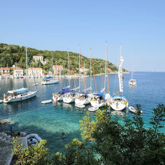 Flotilla 