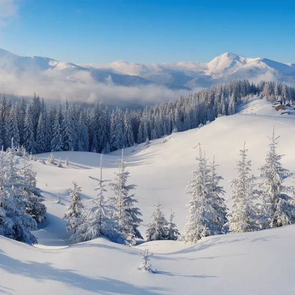 snow scene