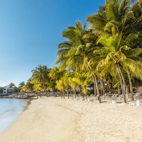 Beach at Neilson x The Ravenala Attitude