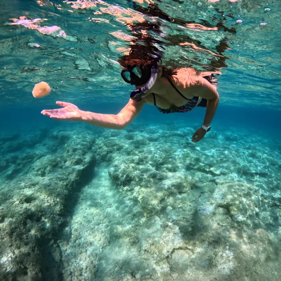 Reef snorkelling at Neilson x The Ravenala Attitude
