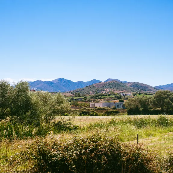 A serene rural landscape under a clear blue sky.