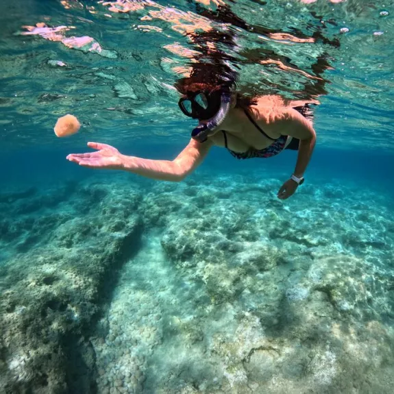 Snorkelling in Mauritius