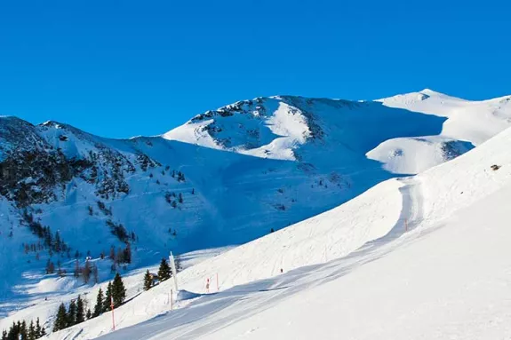 skier