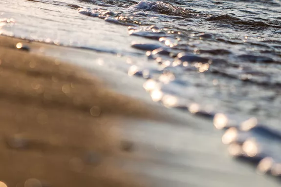 close up of beach and shoreline