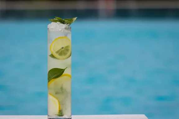Mojito Cocktail 