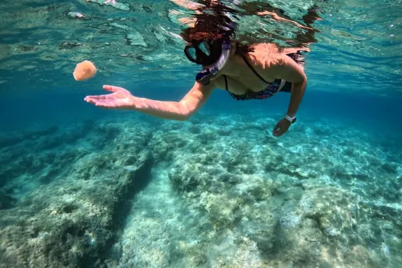 Snorkelling in Mauritius