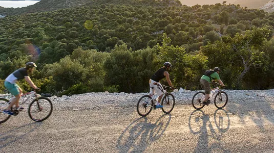 group of people mountain biking at sunset