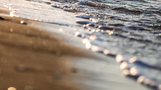 close up of beach and shoreline