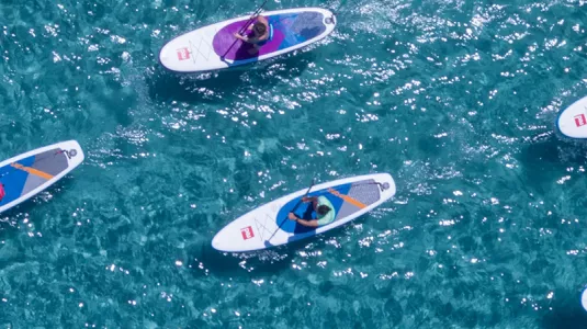 aerial view of group stand up paddle boarding