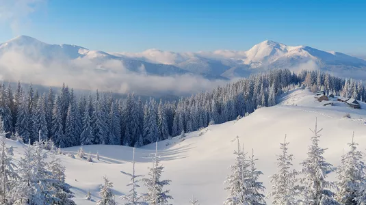 Scenic view