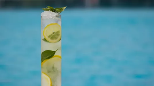 Mojito Cocktail 