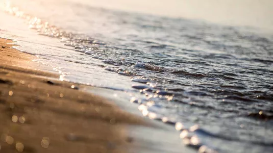 beach and shoreline