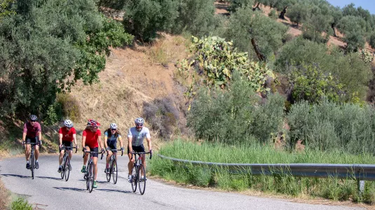 Group cycling