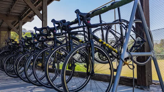 Trek Bikes on rack