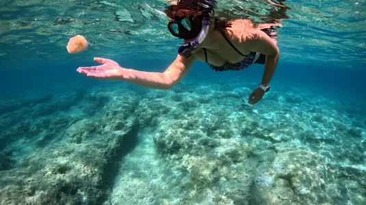 Snorkelling in Mauritius